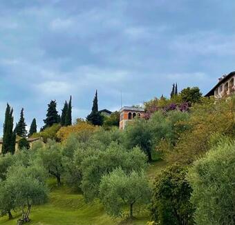 Chalet Vela Natura E Relax