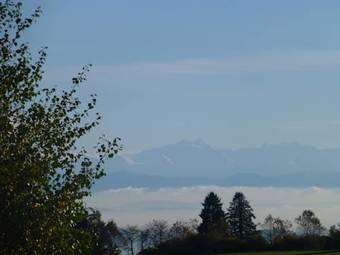 Bio- Und Wellnesshotel Alpenblick