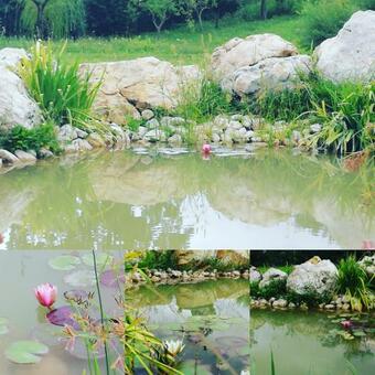 Masseria Boutique B&B