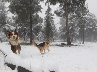 Gate Away B&B Units - ????? ??? ???