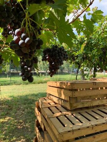 Casa Rosetta Valpolicella