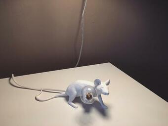 Sunny Family Apartment In Villa - Humanitas Forum Ieo