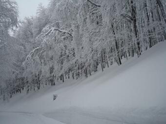 Apartamento Appartamento Rialto Terminillo