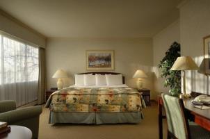 Royal Scot Suite Hotel - Studio Suite