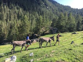 Apartamento Casa Chanoux