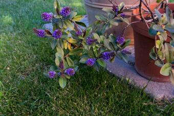 Bed & Breakfast Bel Giorgio