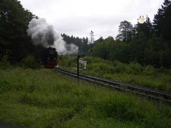 Ver fotos