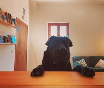 Hotel Dimore Montane