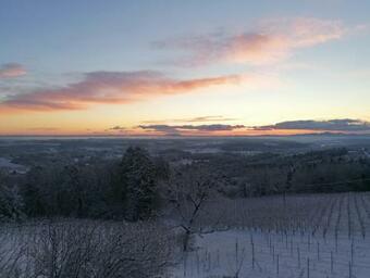 Apartamento Winzerei Schober