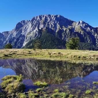 Landhotel Kastanienhof