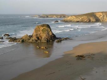 Apartamentos Albari�o