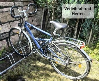 Talblick 1 - Ihr Zuhause : Das Ferienhaus Mitten Im Idyllischen Tal