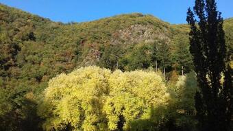 Posada G�stehaus Viktoria