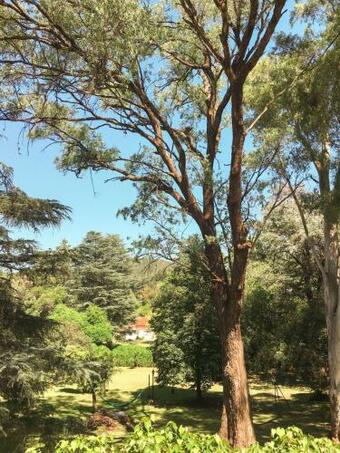 Bed & Breakfast Chalet La Escondida