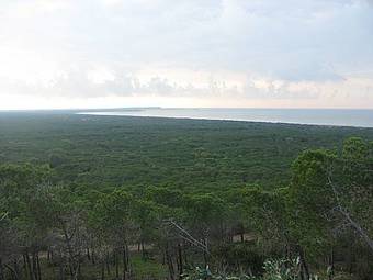 Casa Asfodeli - Villetta In Campagna Con Piscina