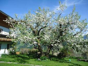 Agroturismo Oberschoellberghof