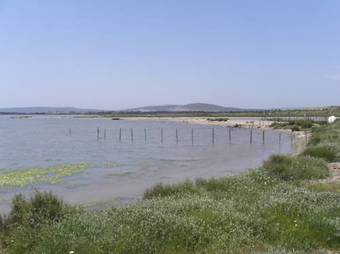 Hotel Balladins Montpellier Perols Parc Des Expositions