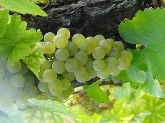 Bed & Breakfast Chambre D'h�tes Du Zellberg