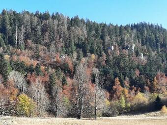 Villa Gorska Zvijezda