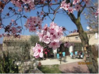 Bed & Breakfast A La Maison D'h�tes