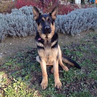 Agroturismo B&B La Pace