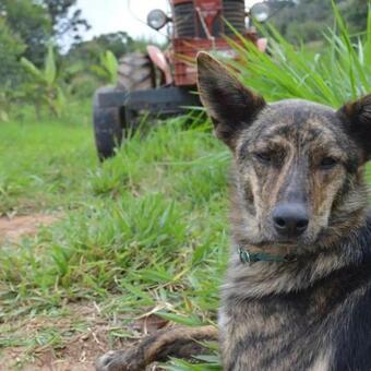 Chal� Nas Agroflorestas - Montanhas Da Mantiqueira