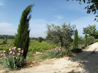 Bed & Breakfast Mas Du Tilleul