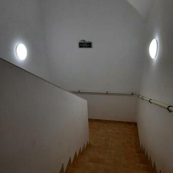 Torony Lovarda Mag�nsz�ll�s