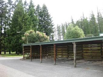 Alpine Holiday Apartments & Campground