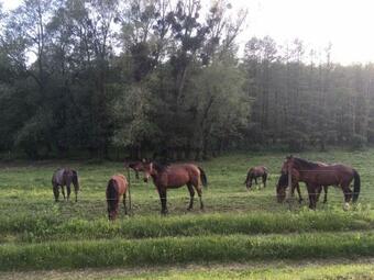 Apartamento Tanya Othello