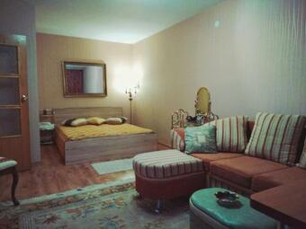 Apartamento Vieno Kambario Butas