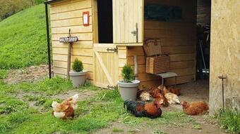 Holidayfarm Natural Slovakia - Holidayhouse Rann� Rosa