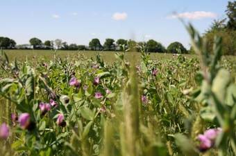 Agroturismo Biologite