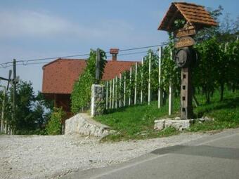 Lodge Zidanca Med Vinogradi