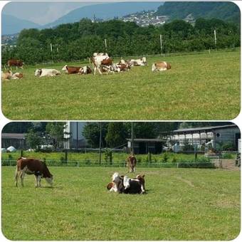 Apartamento Casa Hueller