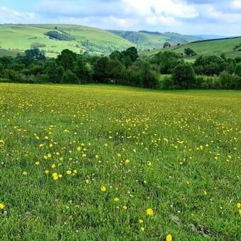 Apartamento Hobbit Holiday House