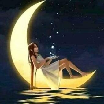 Apartamento Casa L�a