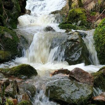 Apartamento Glenview -a Warm Scottish Welcome In The Glen.