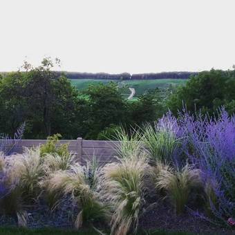 G�te Mill�sime Et Une Nuit