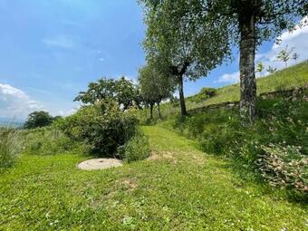 Villa Traumhaftes Ferienhaus Mit See- Und Alpenblick