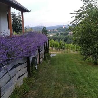 Natural Cottage Glamping