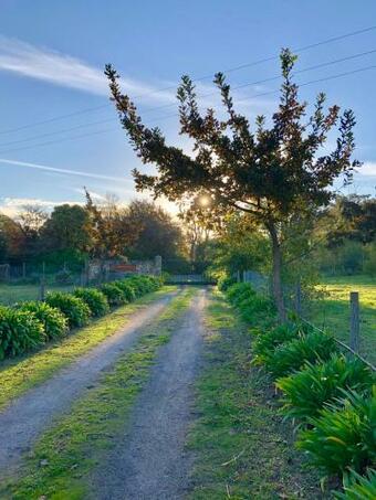 Stonepeak Mountain Lodge