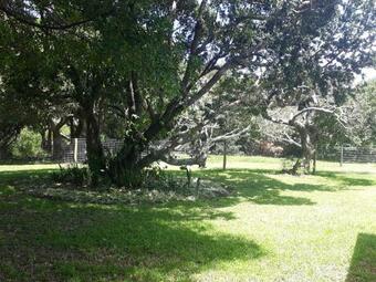 Roads End At Moonlight Bay