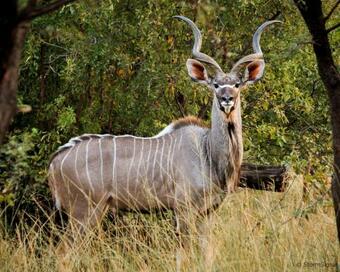 Apartamento Thaba Manzi Ranch