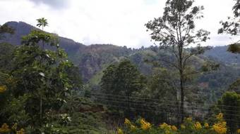 Bed & Breakfast The Chillout Ella