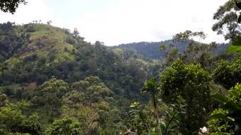 Bed & Breakfast Raveena Guest House