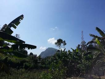 Bed & Breakfast Ella Guest Inn