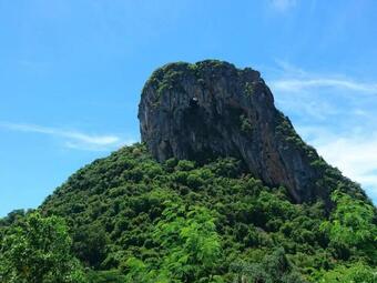 Ver fotos