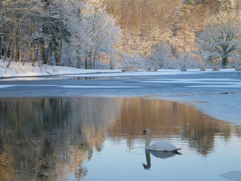Hotel Chateau De Canisy