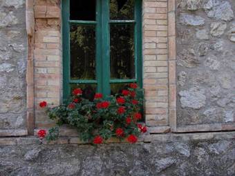 B&B Locanda Pecora Nera